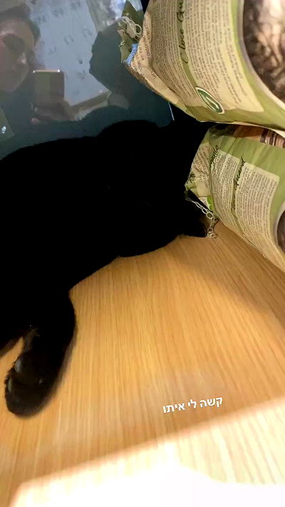 mishel116 mishel116 archive video