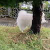 dear.zia Altpins Profile Picture