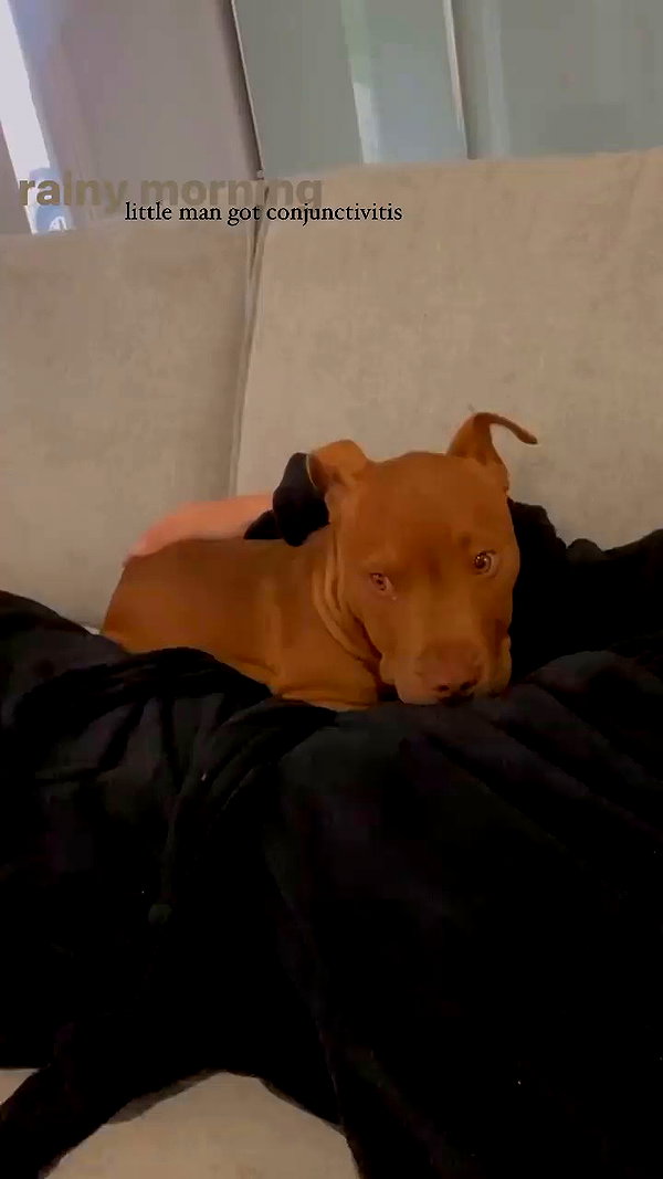 olivia.mathers archive video preview