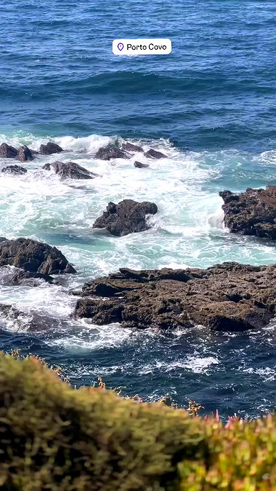 taylor.creeden taylor.creeden archive video