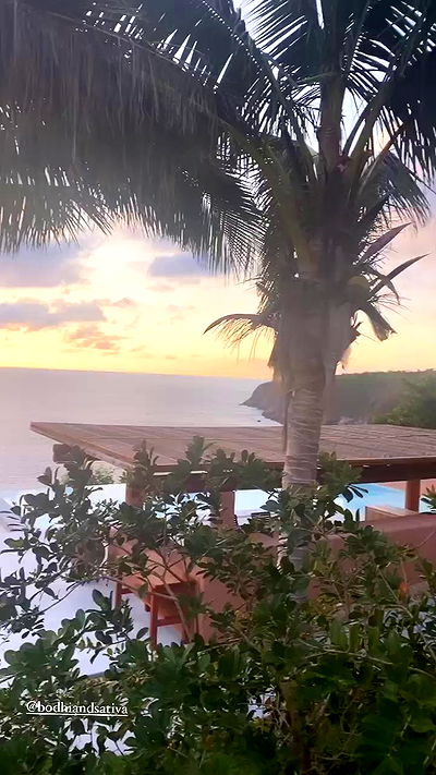 taylor.creeden taylor.creeden archive video