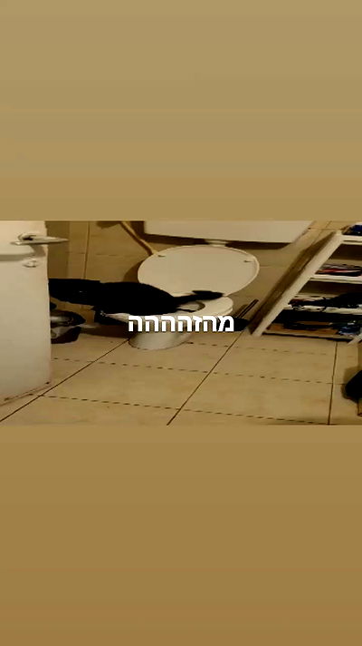 moonyyyya moonyyyya archive video