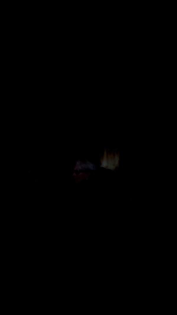 _allvi.pansk archive video preview