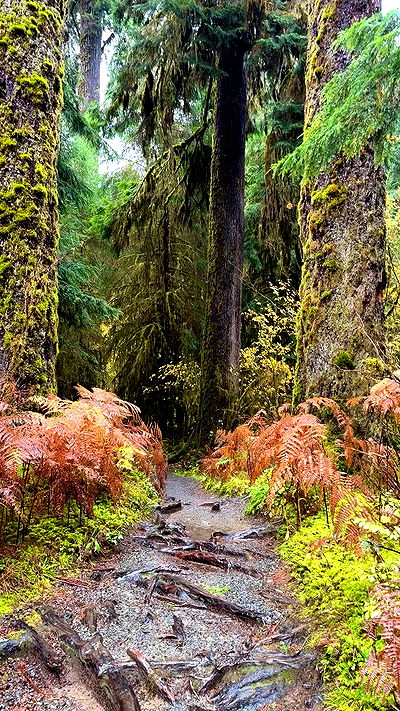 taylor.creeden taylor.creeden archive video