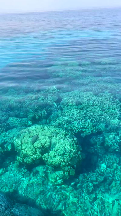 taylor.creeden taylor.creeden archive video