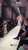 kafelnikova_a Altpins Profile Picture