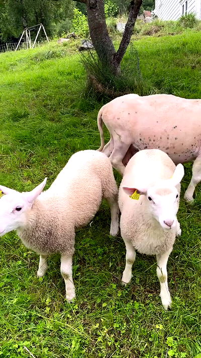 taylor.creeden taylor.creeden archive video