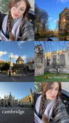 lollinski Altpins Profile Picture