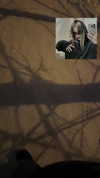apathy.impress Altpins Profile Picture