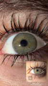 elviksi_07 Altpins Profile Picture