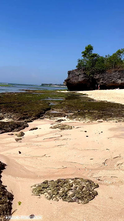 taylor.creeden taylor.creeden archive video