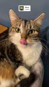 jahia_brown Altpins Profile Picture