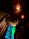 elizabethcampbelljones Altpins Profile Picture