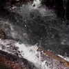 veroni22ka Altpins Profile Picture