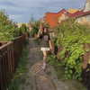 forestowwwl Altpins Profile Picture