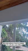 gabbyepstein Altpins Profile Picture