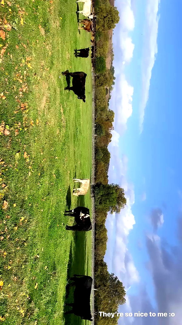 allissashin archive video preview