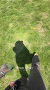 rouxroux.tv Altpins Profile Picture
