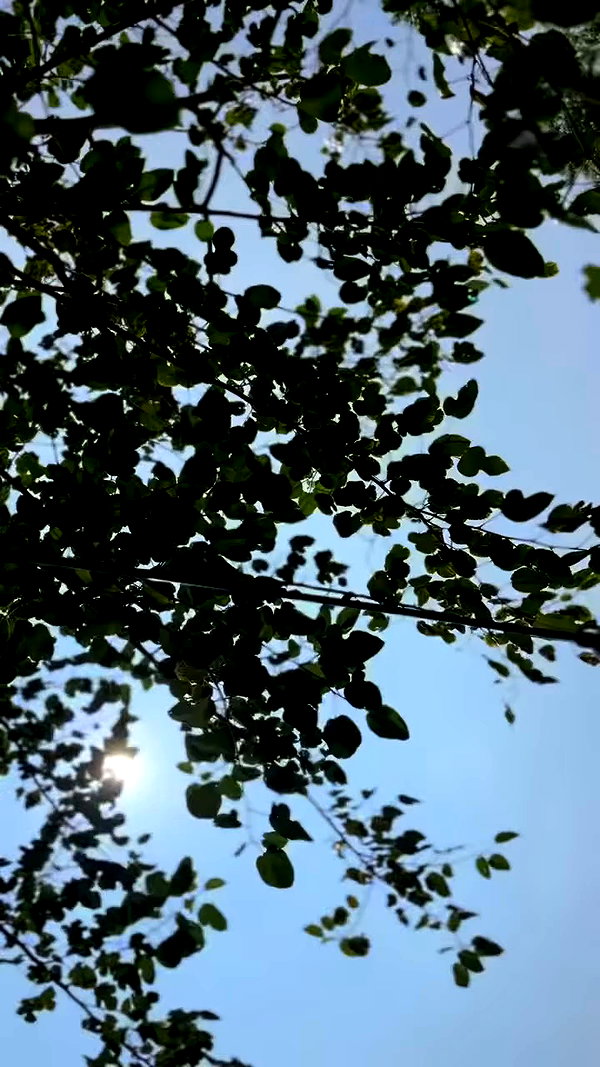 gissell_eli archive video preview