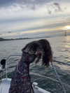 ge.more_x Altpins Profile Picture