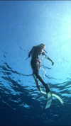 darkstar_mia Altpins Profile Picture