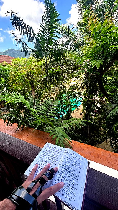 tomer_yosf tomer_yosf archive video