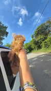 rouxroux.tv Altpins Profile Picture