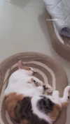 jiw_____n Altpins Profile Picture