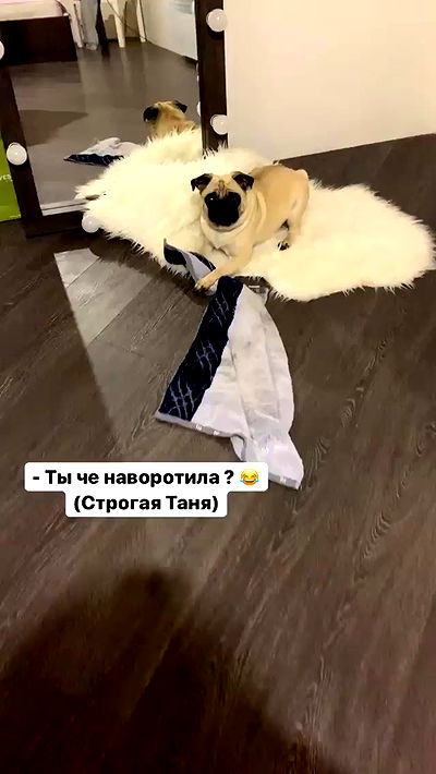 nyityam nyityam archive video