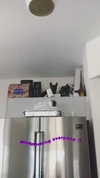 evasela__ Altpins Profile Picture