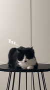 yuna_1_27 Altpins Profile Picture