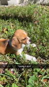 kyla.doddsss Altpins Profile Picture