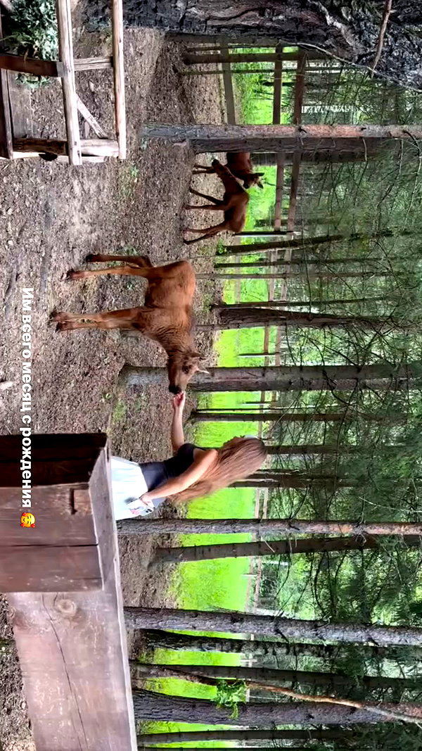 enikeeva_aliya archive video preview