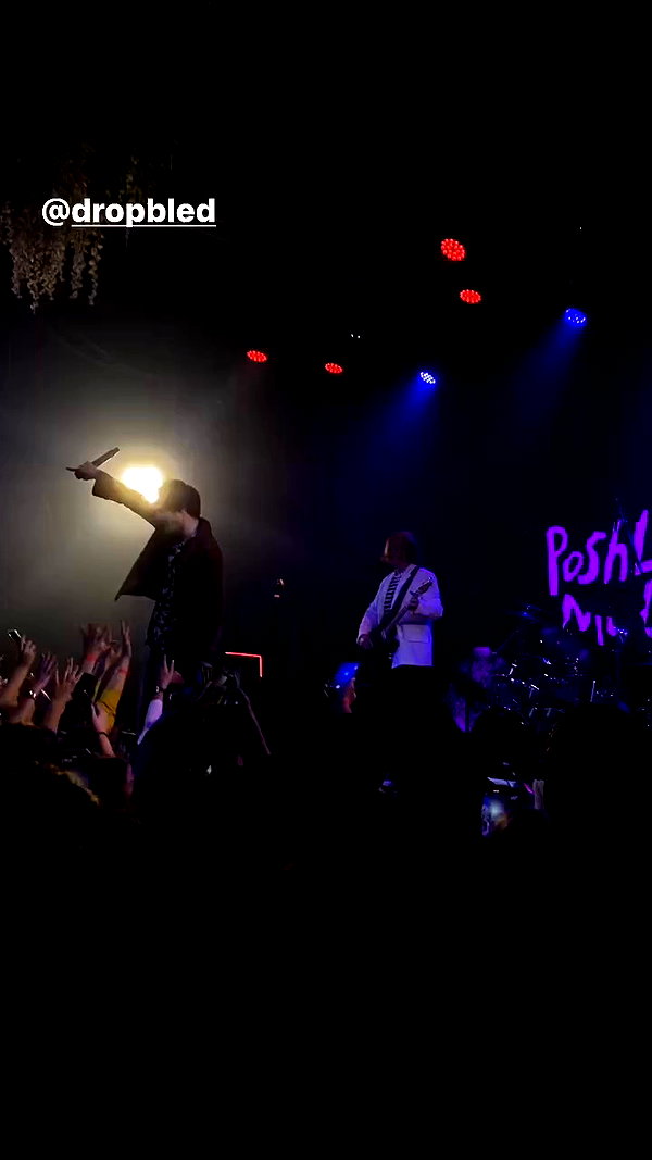 _allvi.pansk archive video preview