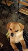alma.almog Altpins Profile Picture