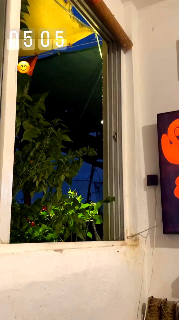 _.shelichka._ archive video preview