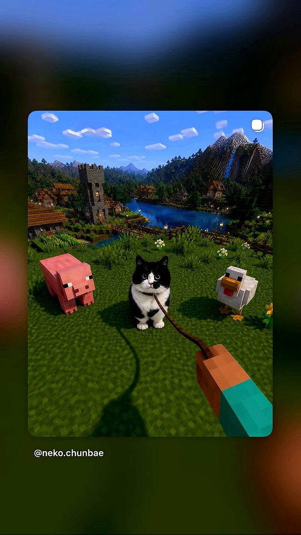 riacarnated archive video preview