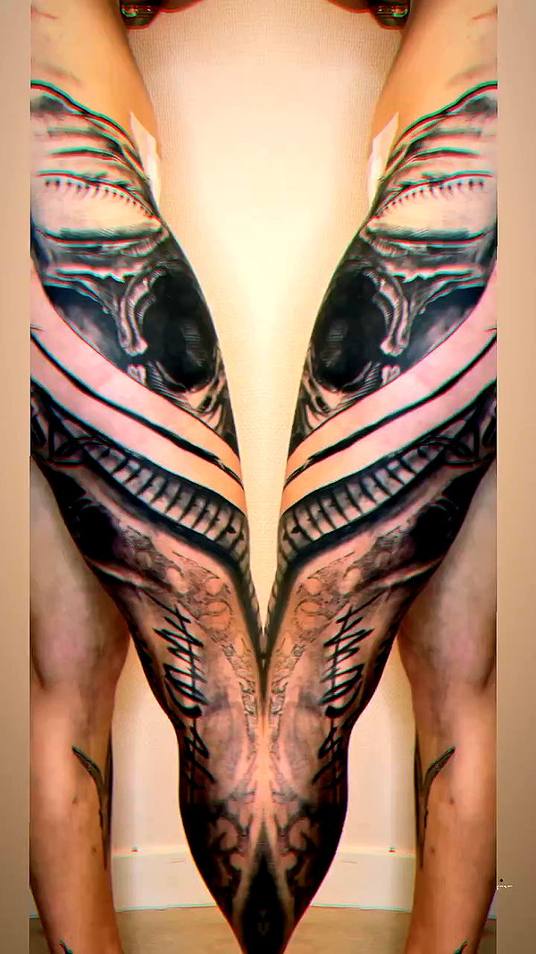 venecatattoo archive video preview