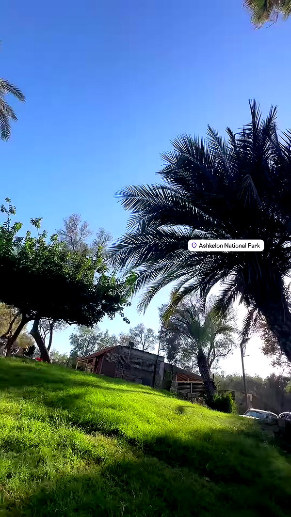 yuli.barell archive video preview