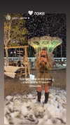 tirtza_cohen Altpins Profile Picture