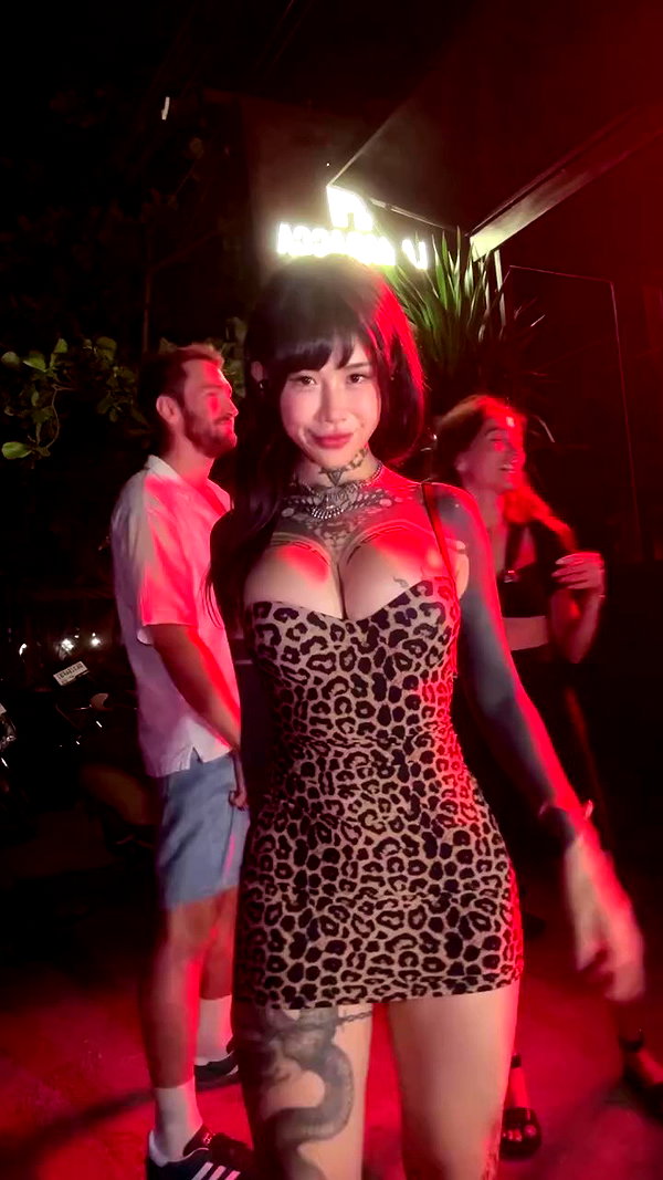 bigcatmia archive video preview