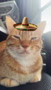 kitsunee.___ Altpins Profile Picture