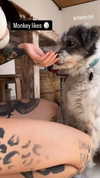darkstar_mia Altpins Profile Picture