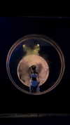 sylindathecat Altpins Profile Picture