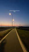 mishel_d_ Altpins Profile Picture