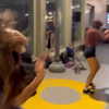 libby_reut Altpins Profile Picture