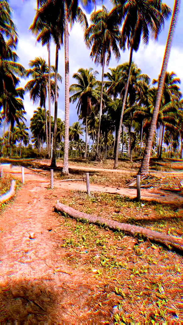 jadelaverne archive video preview