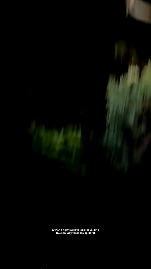 isabella.lauren archive video preview