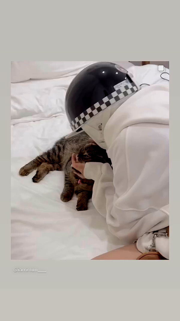 iammun___ archive video preview