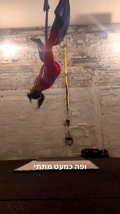 yam_adler yam_adler archive video